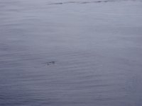 P8050015